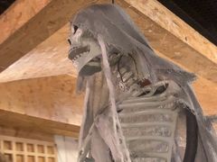 -长藤鬼校(龙翔店)