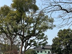 -浙江西子宾馆·牡丹厅