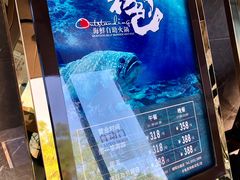 -初色海鲜自助(朝阳北路店)