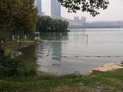 -天鹅湖体育公园