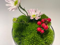 -眉州东坡(民族园店)