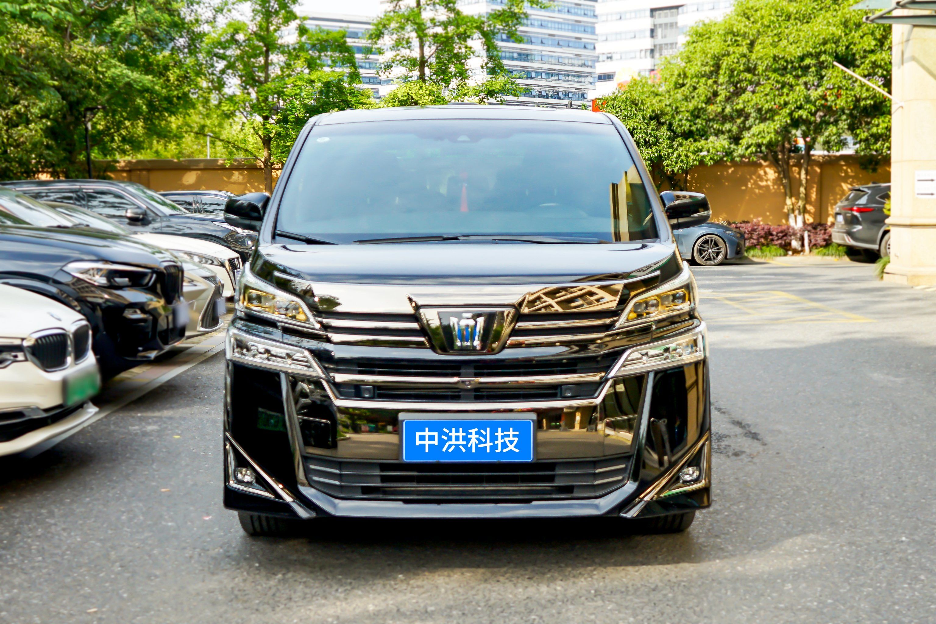 杭州豪车商务接待婚庆车队静态展示用车