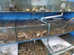 水产区-蟹谢蒸鲜自助餐厅