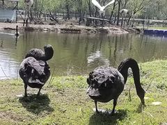 -长白岛森林公园