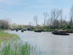 -溱湖国家湿地公园