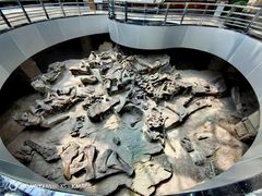 -自贡恐龙博物馆