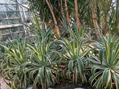 -南山植物园