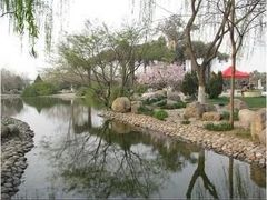 -石家庄市植物园