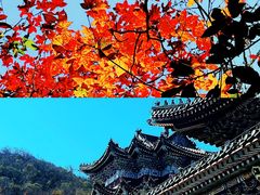 -张家界天门山国家森林公园