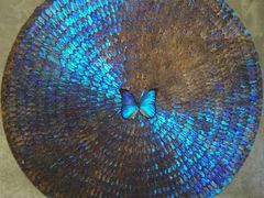 -上海昆虫博物馆