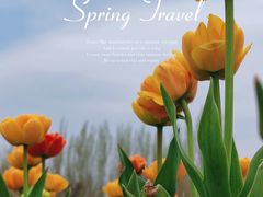 -北京国际鲜花港