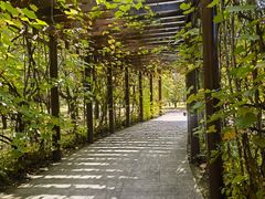 -黑龙江省森林植物园