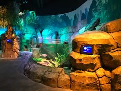 -沈阳海洋探索中心