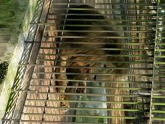 android_upload_pic-广东茂名森林公园