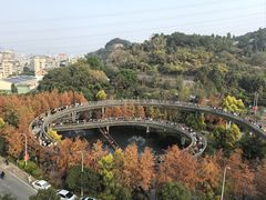-福道