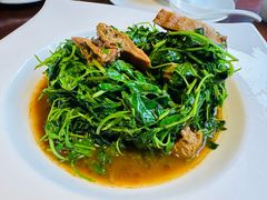 蚌肉金花菜-松鹤楼(山塘街店)