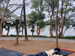 -东湖落雁景区