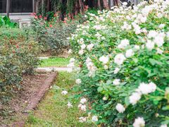 -人民公园(罗湖区)