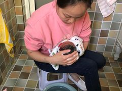 -好孕妈妈月嫂(重庆总店)