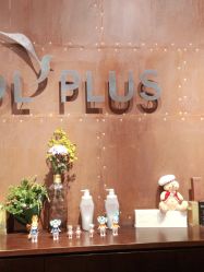 -IDOL-PLUS