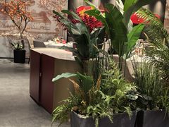 -拾宴(汇智国际商业中心店)