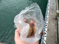 -金盆阿嬷香菇茶叶蛋(玄光店)