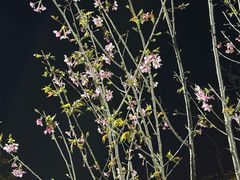 -福州大学(旗山校区)