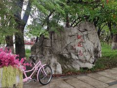 -金鸡湖桃花岛