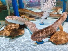 -阿伟海鲜楼·福建菜(延寿店)