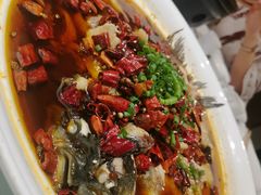 -光明渔港(海悦天地店)