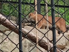 -大连森林动物园