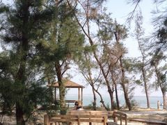 -北海金海湾红树林生态旅游区