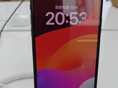 -汉堡王(高坪王府井店)