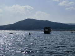 -腾冲北海湿地