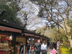 -普陀山风景区-佛顶山