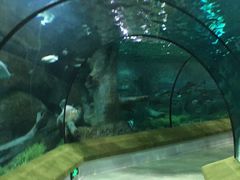 -福州罗源湾海洋世界旅游区