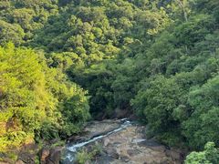 -广州白江湖森林公园