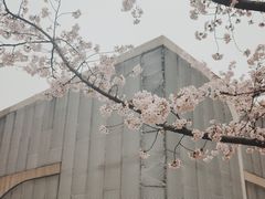 -龙美术馆(西岸馆)
