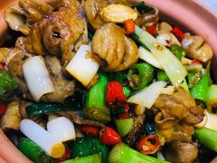 -邵年鸽(杨庄店)