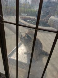 -萌宠亲子动物乐园(槐房万达店)