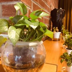 -时尚殿堂·颜SPA