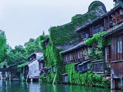 -乌镇西栅景区