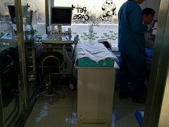 -邢大夫动物医院