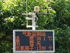 -大奇山国家森林公园
