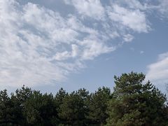 -函谷关历史文化旅游区