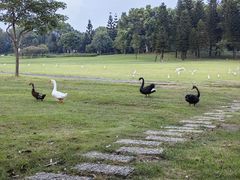 -福建鲤鱼洲酒店