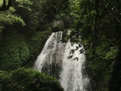 -瓦屋山景区