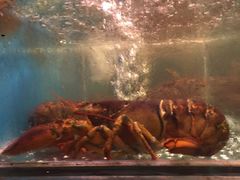 -潮喜竹溪荔湖酒家(荔枝湾店)