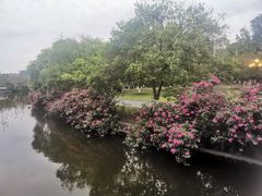 -成都南湖公园