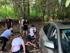 -青城甲(青城山店)